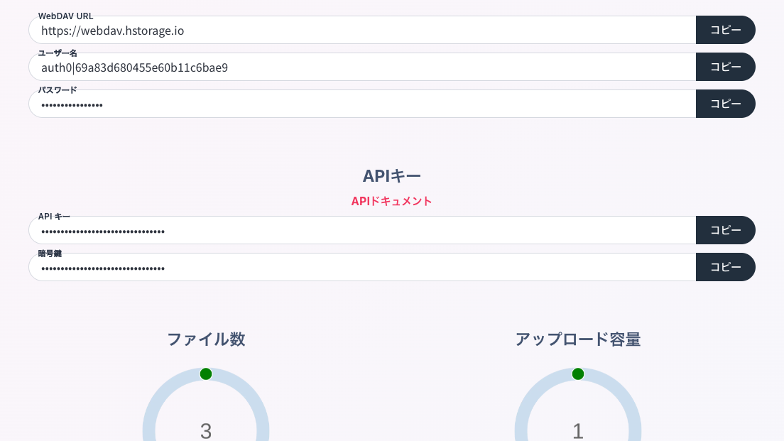 API key screen